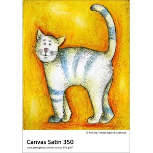 Canvas Satin 350